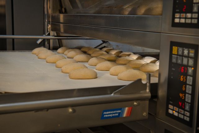 Oven Repair in Covington, Atlanta