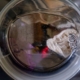 Washing Machine Won’t Drain: Causes and Fixes