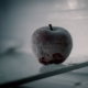 Why Your Refrigerator Keeps Freezing Food
